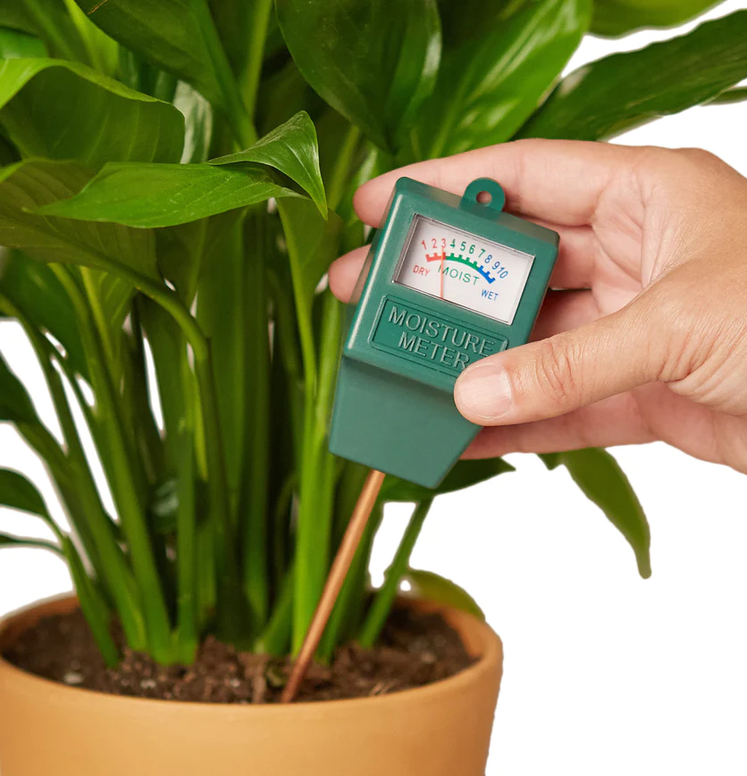 Moisture Meter