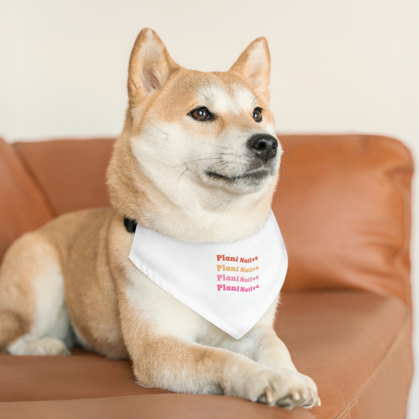 Plant Native Pet Bandana Collar