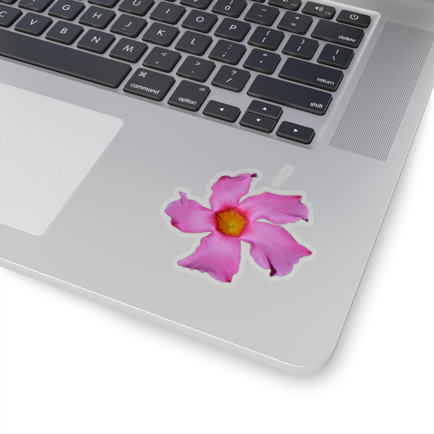 Mandevilla Stickers