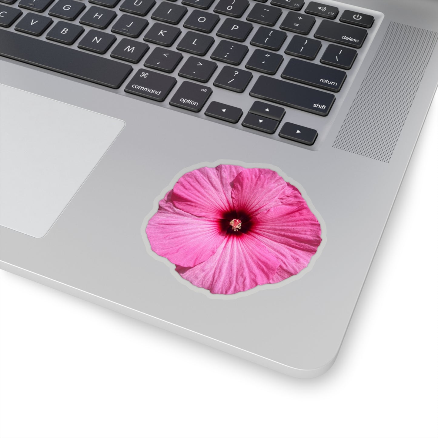 Hibiscus Stickers