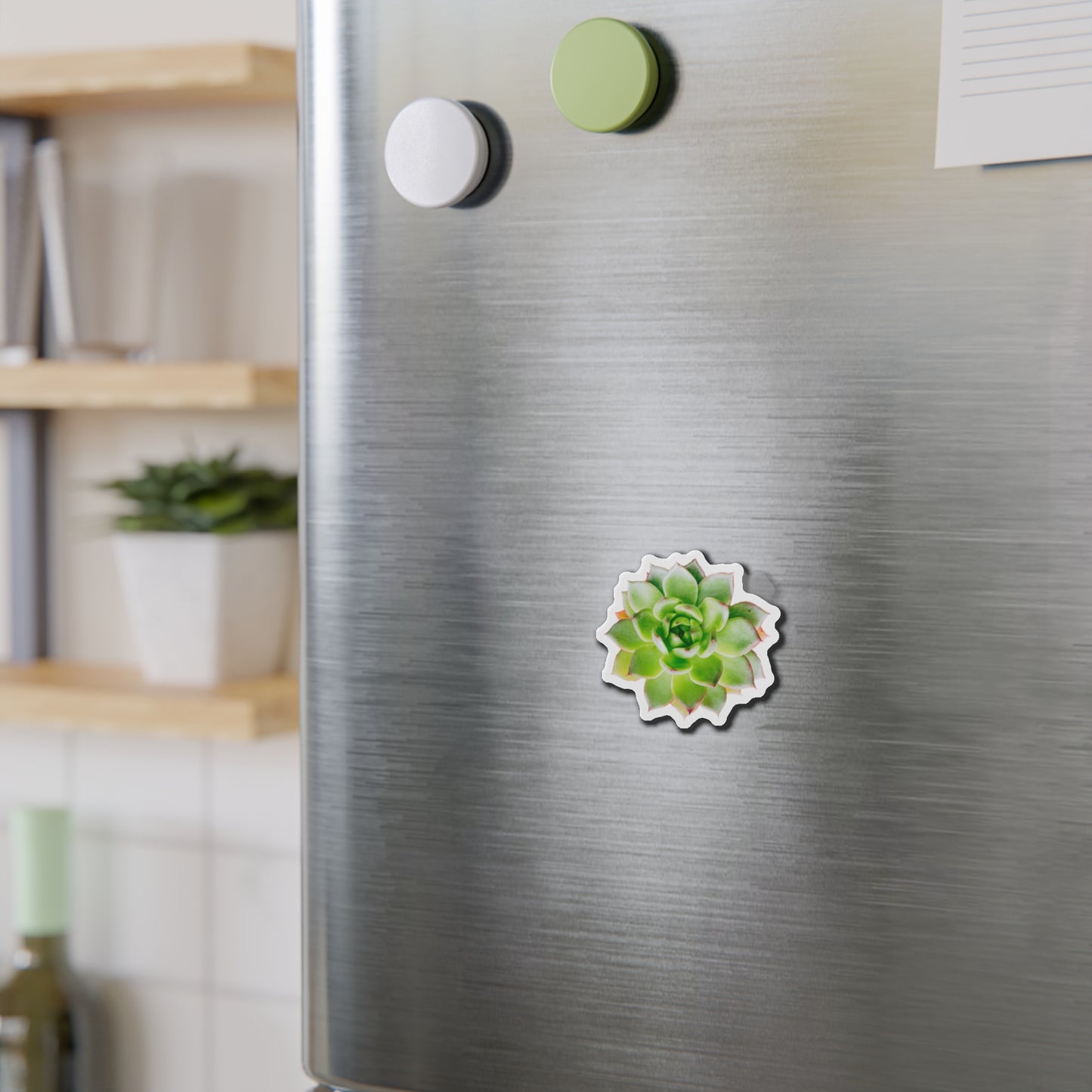 Echeveria Magnets