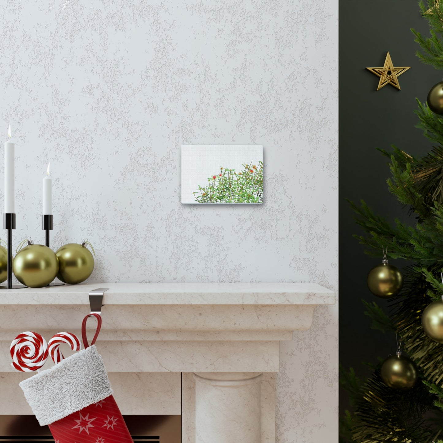 Purslane Canvas Gallery Wraps