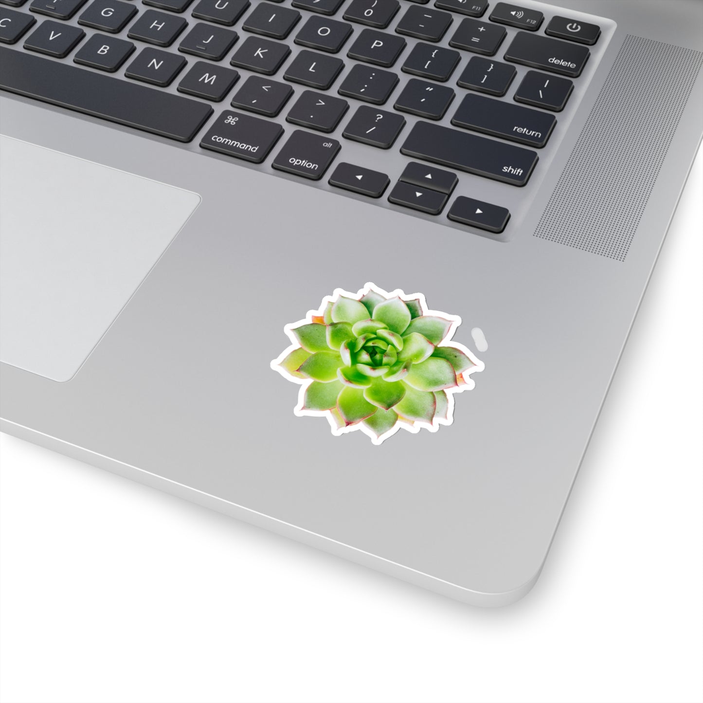 Echeveria Stickers