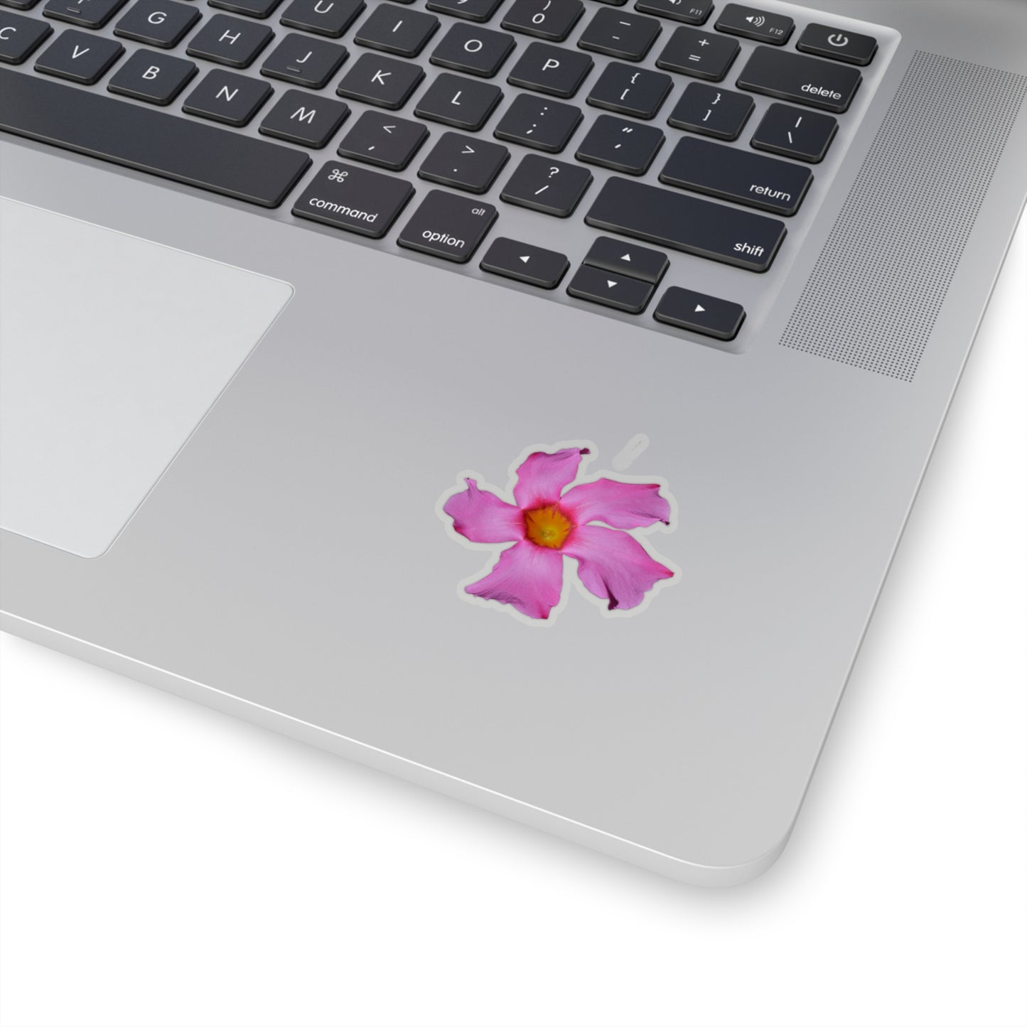 Mandevilla Stickers