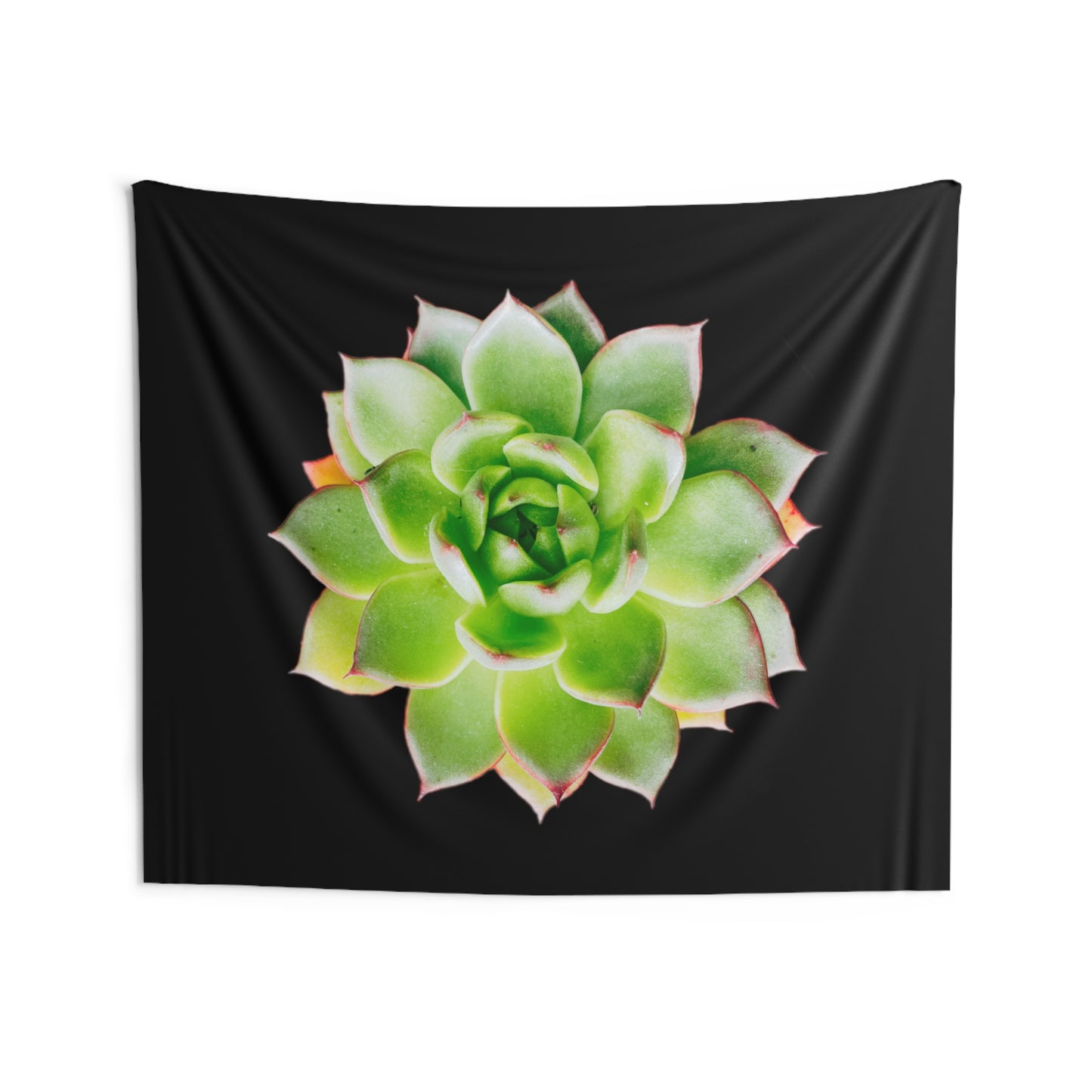 Echeveria Indoor Wall Tapestries