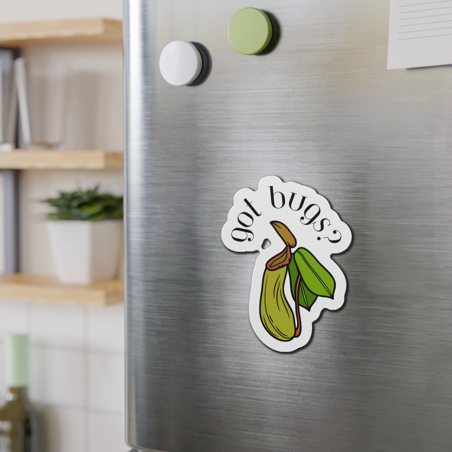 Got Bugs? Magnets