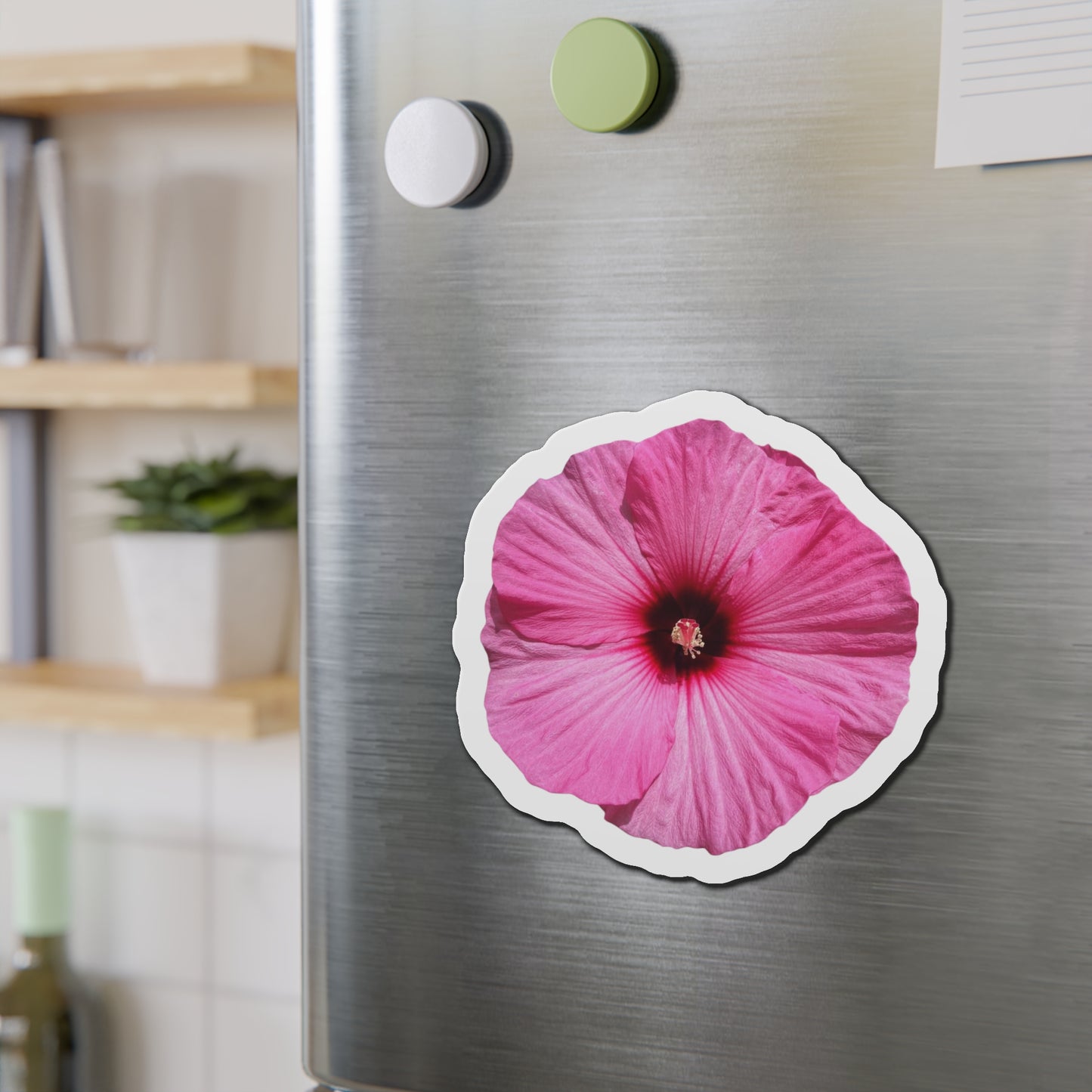 Hibiscus Magnets