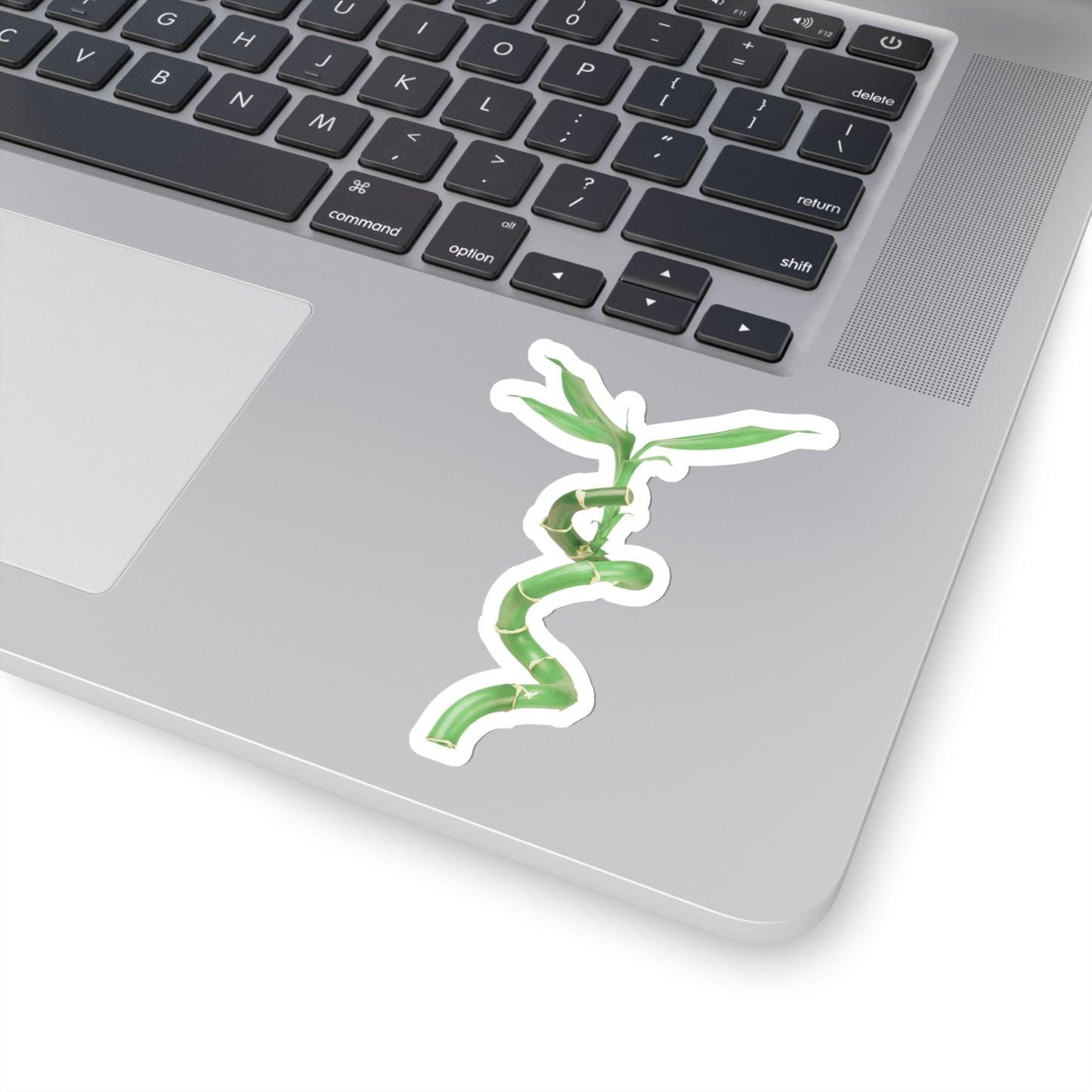 Bamboo Stickers