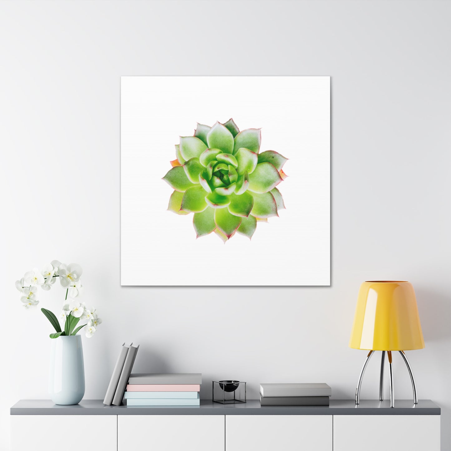 Echeveria Canvas Gallery Wraps