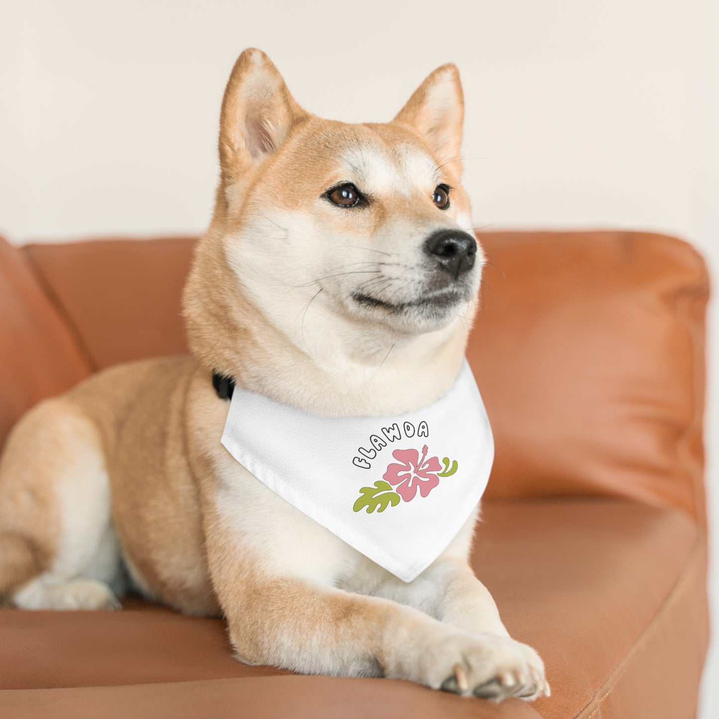 Flawda Pet Bandana Collar