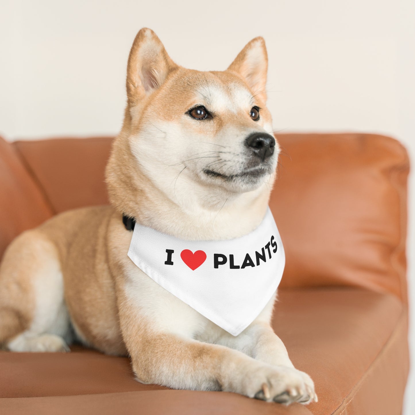 Love Plants Pet Bandana Collar