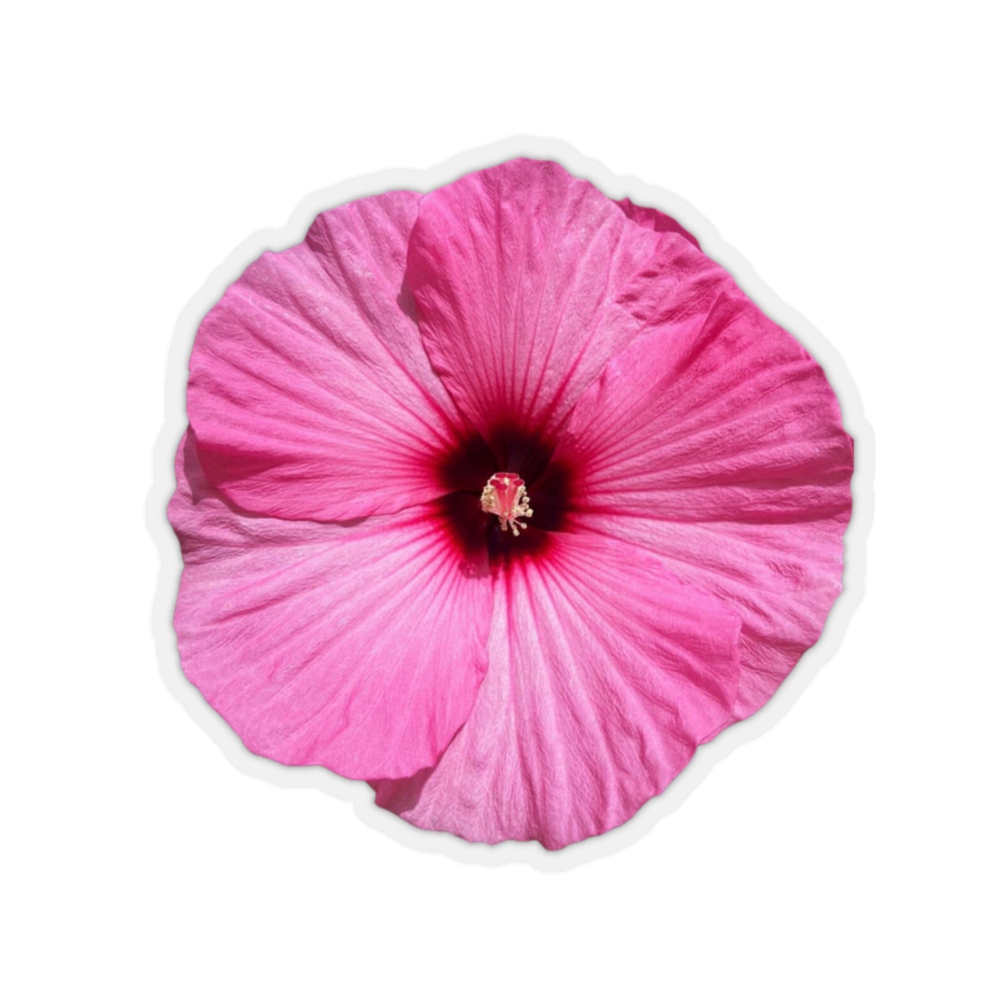 Hibiscus Stickers