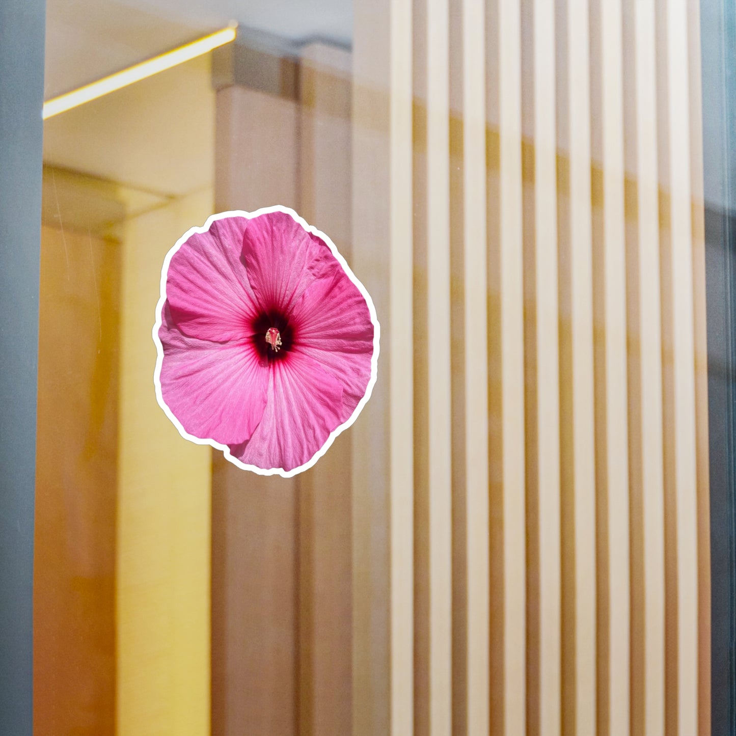 Hibisucs Vinyl Decals