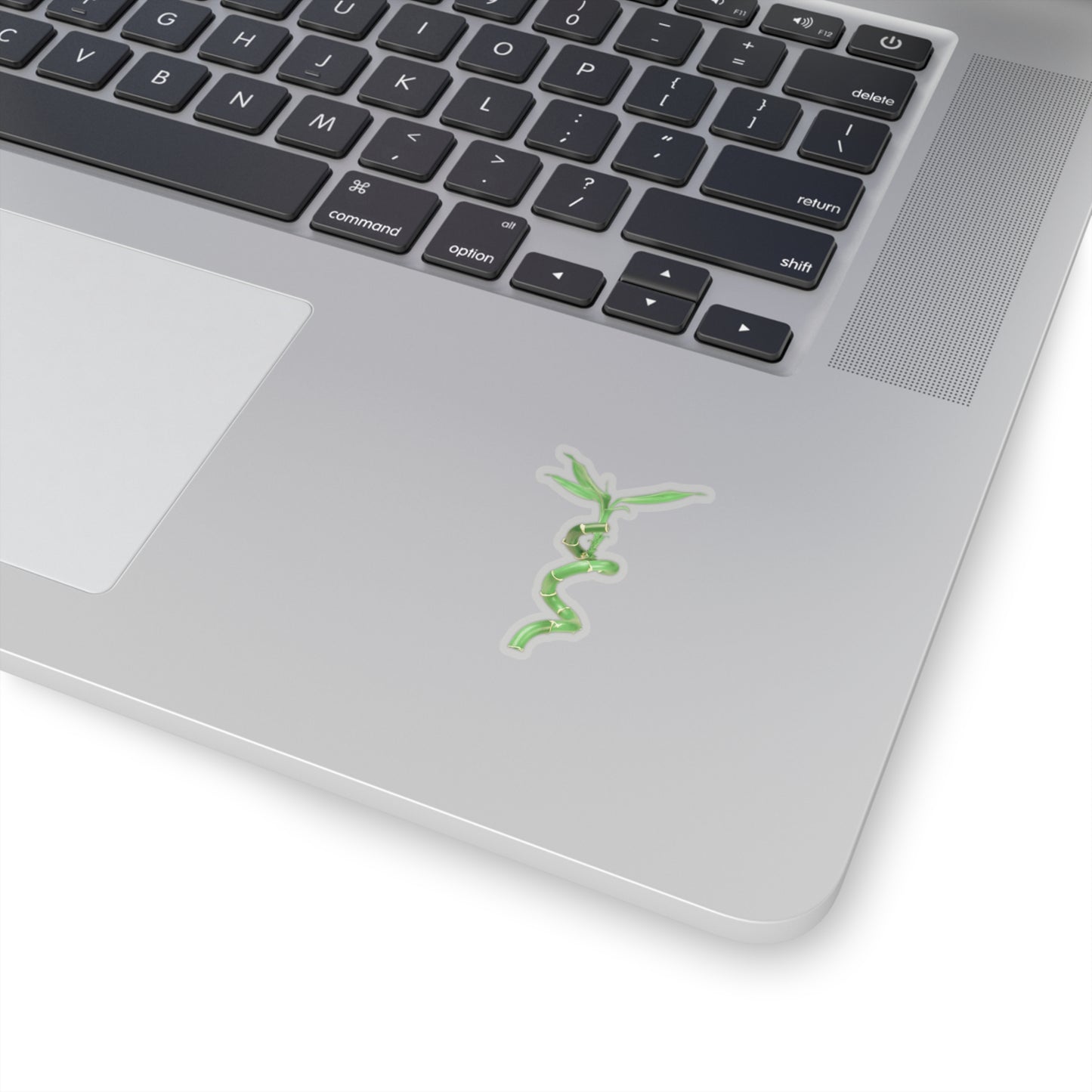 Bamboo Stickers