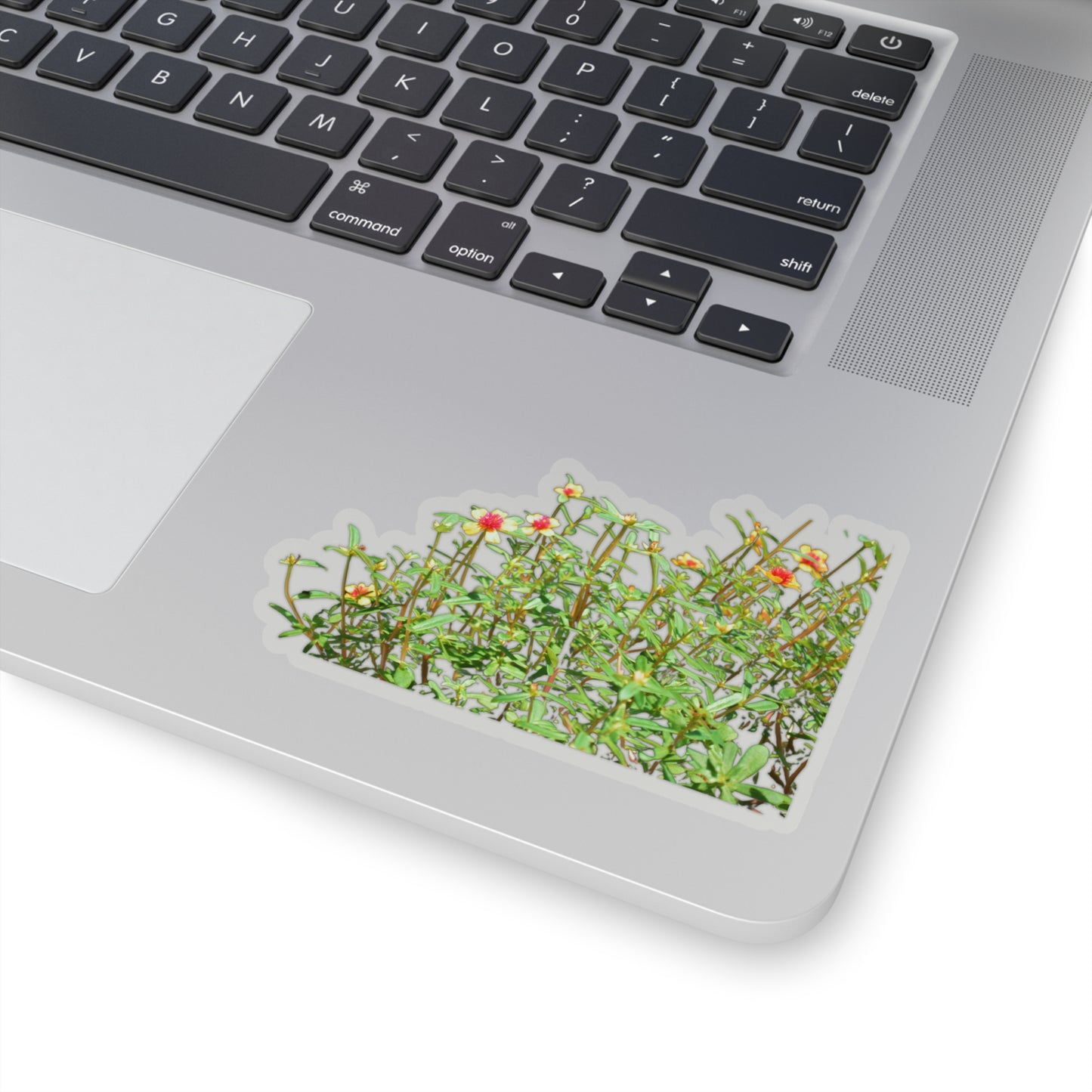 Purslane Stickers