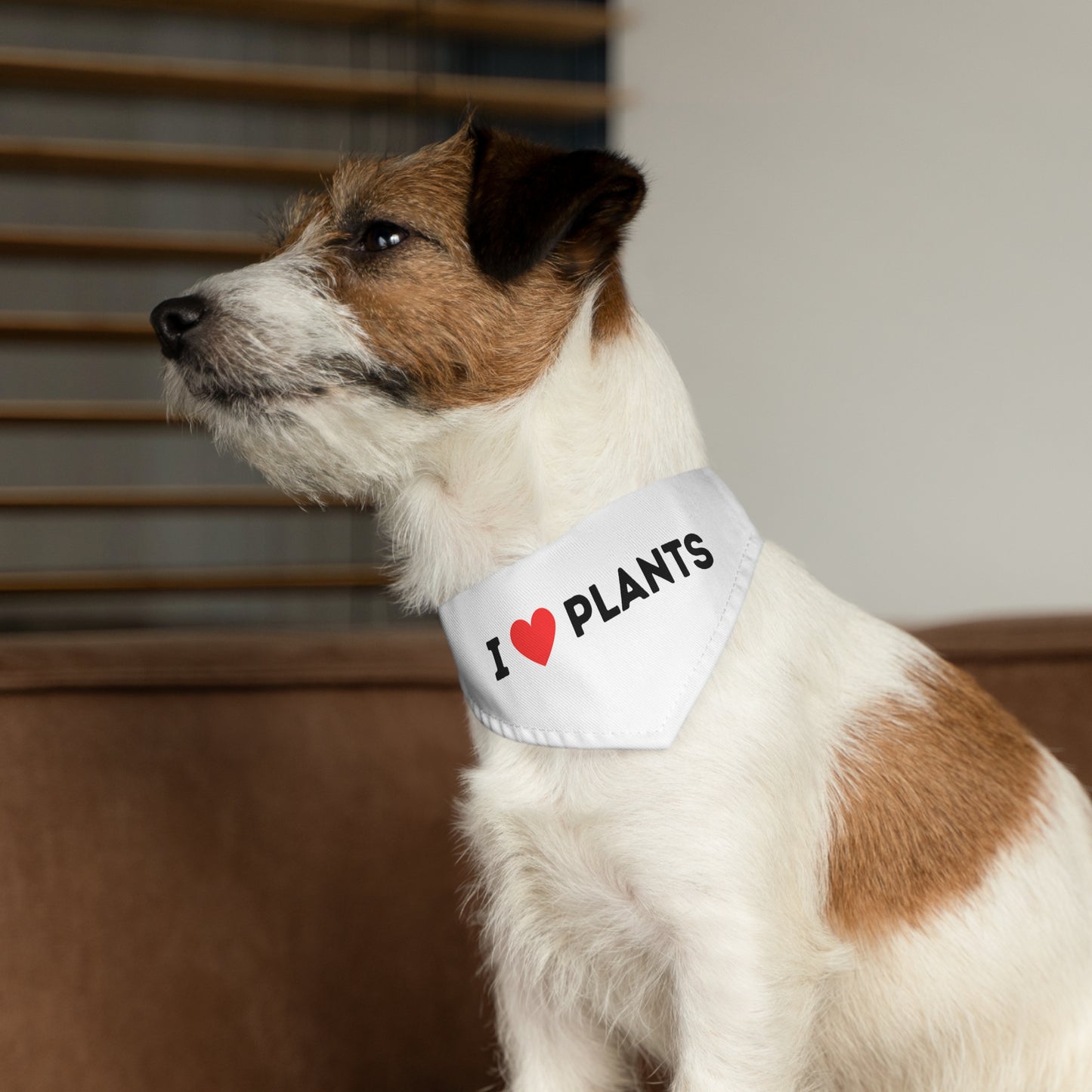 Love Plants Pet Bandana Collar
