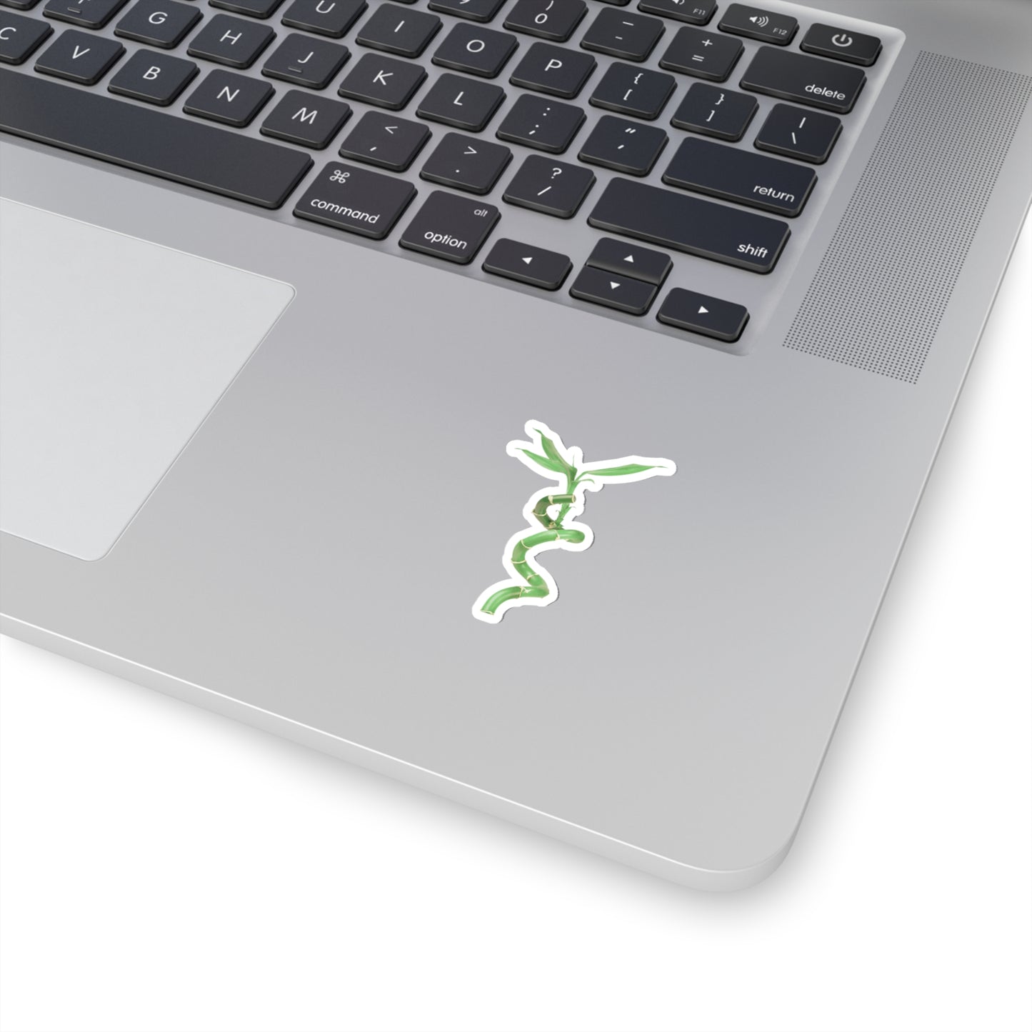 Bamboo Stickers