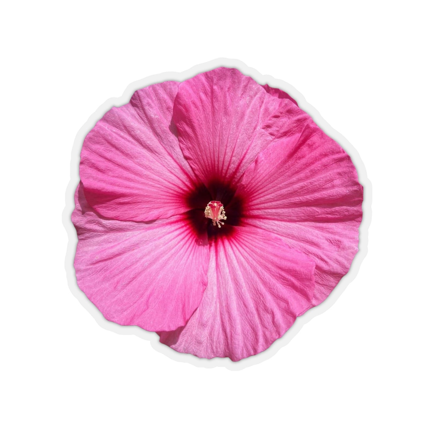 Hibiscus Stickers