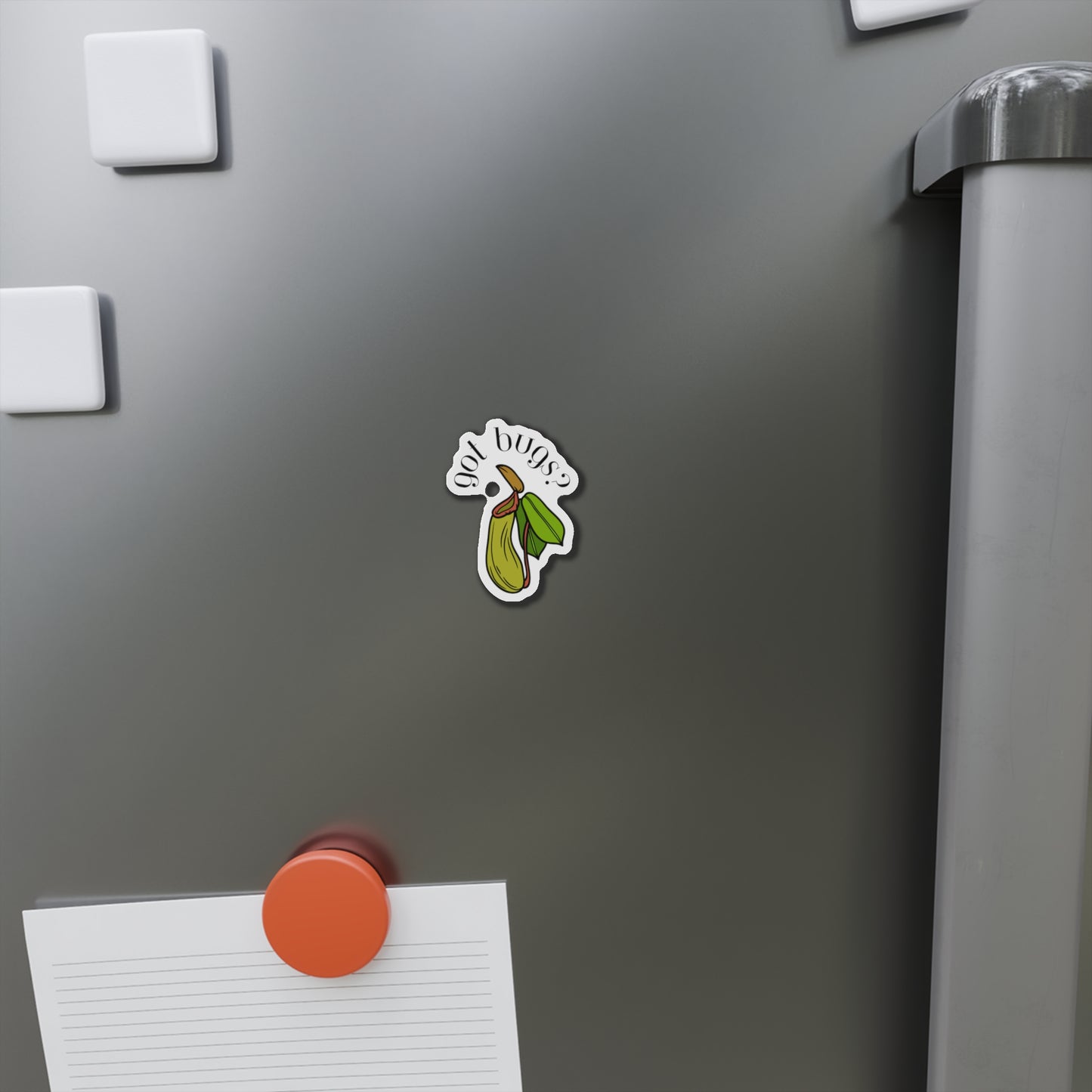 Got Bugs? Magnets