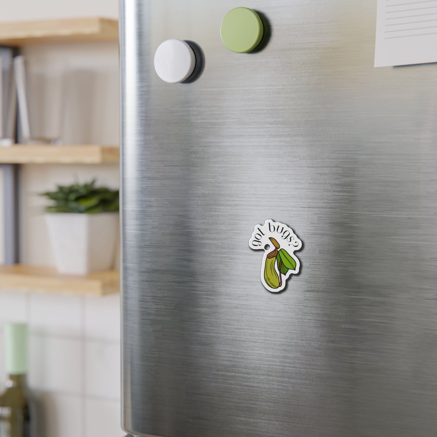 Got Bugs? Magnets