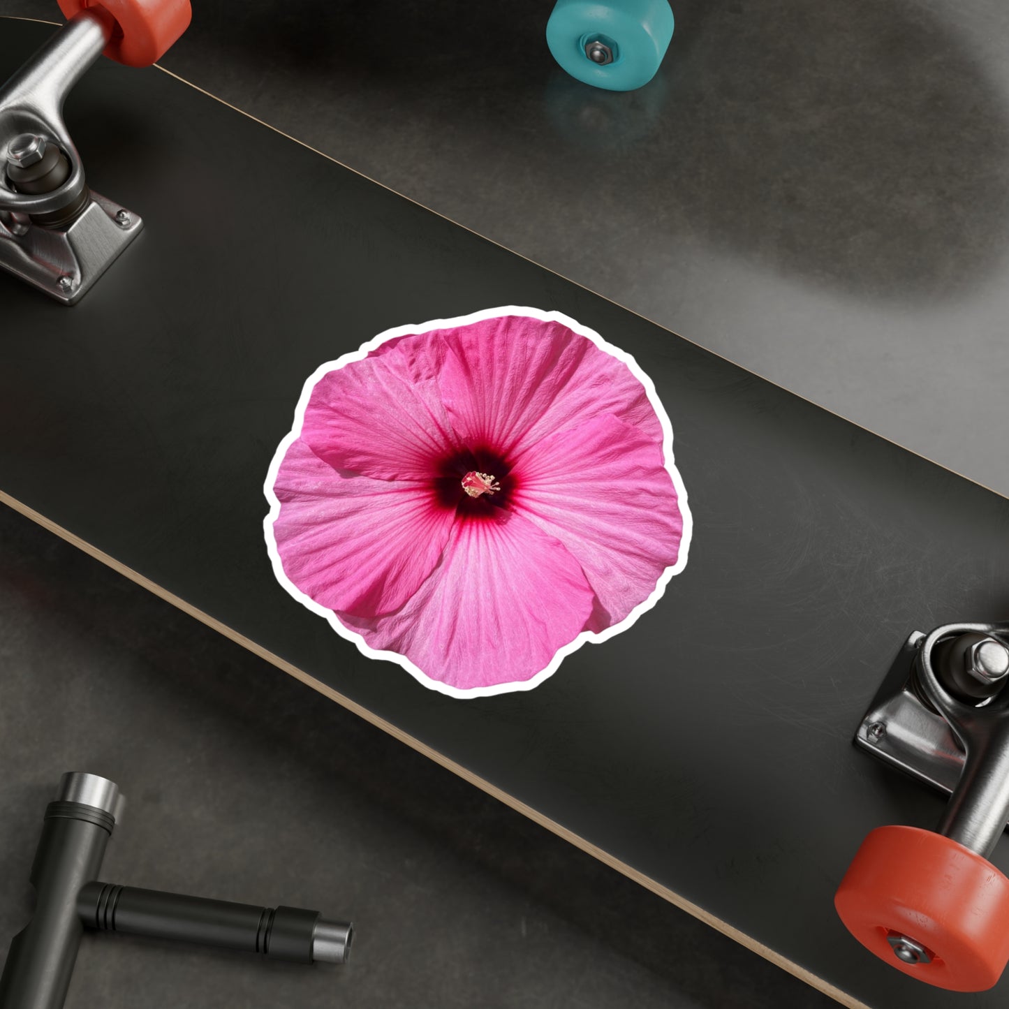 Hibisucs Vinyl Decals