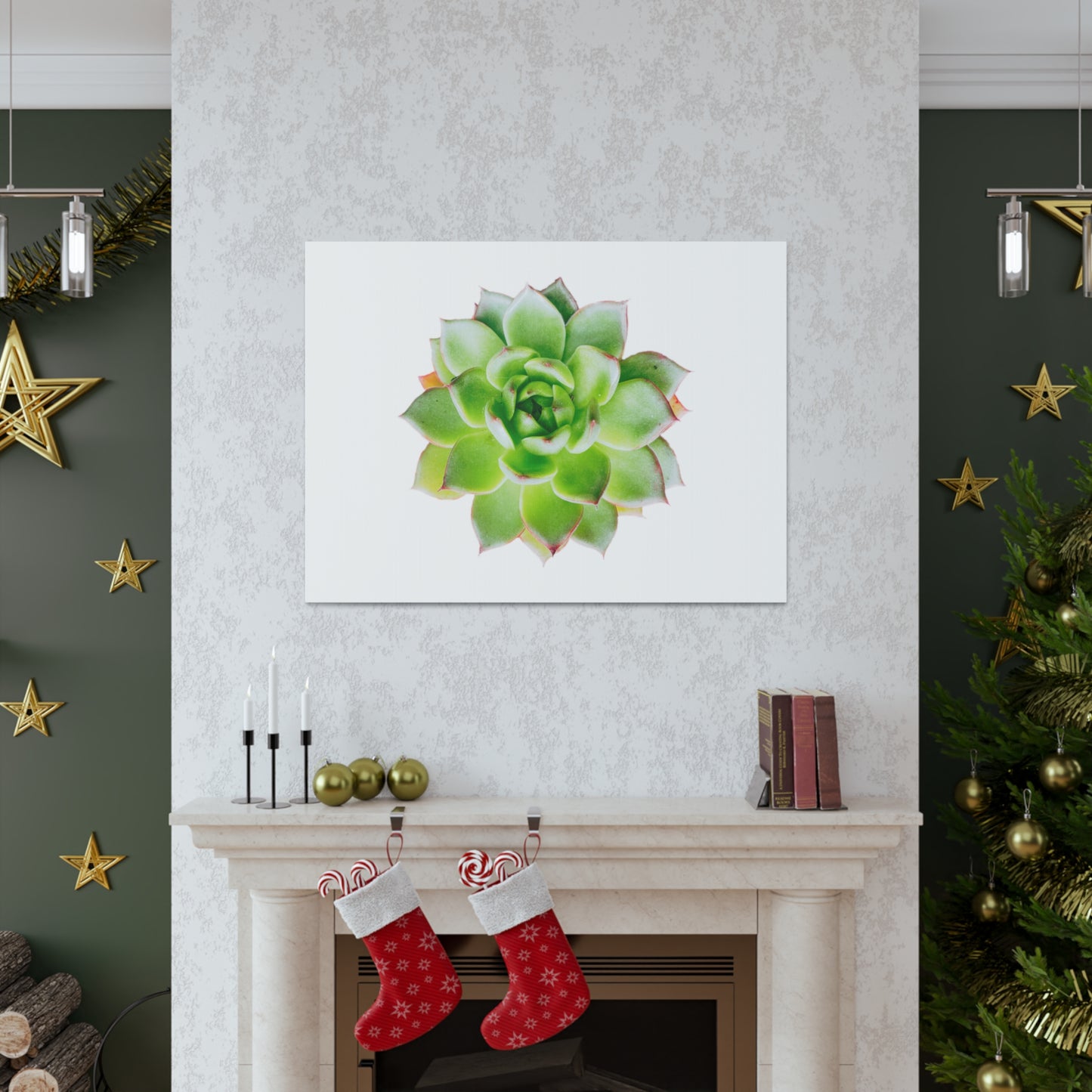 Echeveria Canvas Gallery Wraps