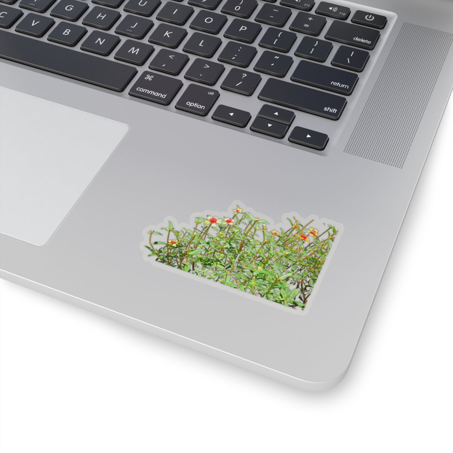 Purslane Stickers