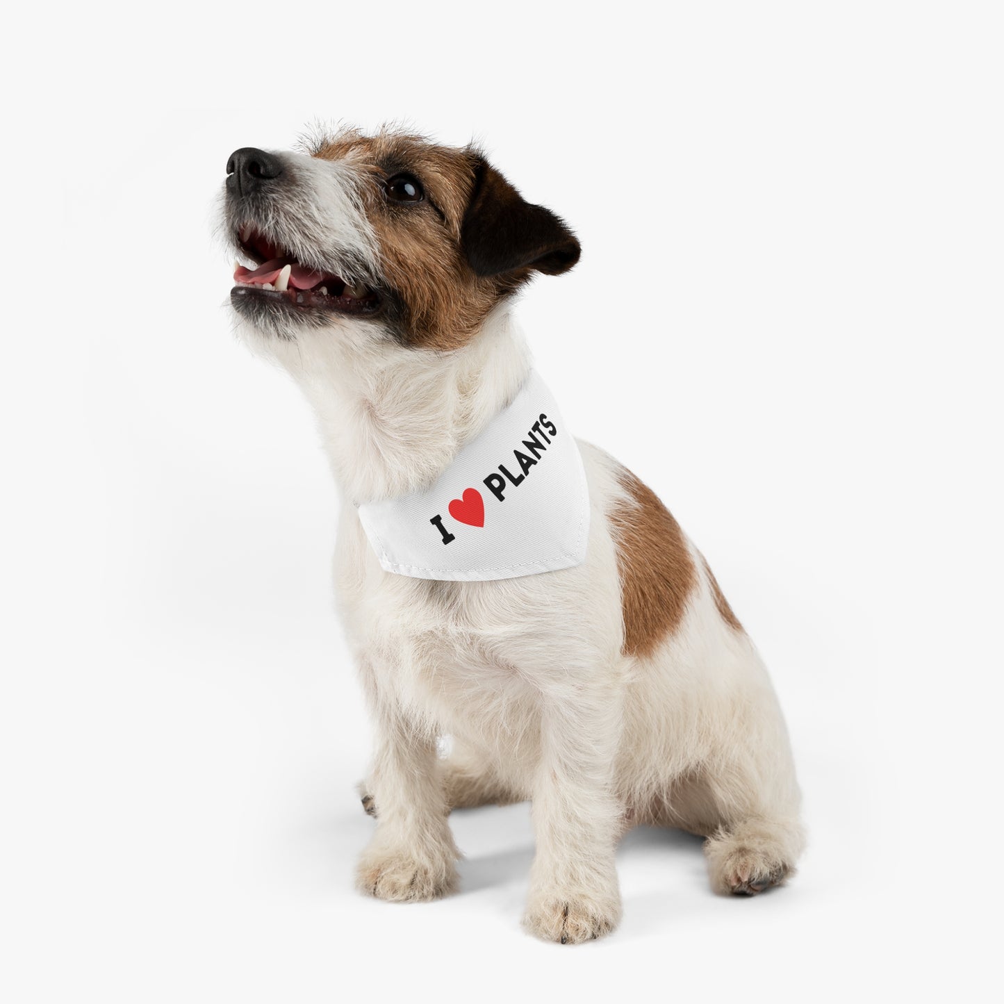 Love Plants Pet Bandana Collar