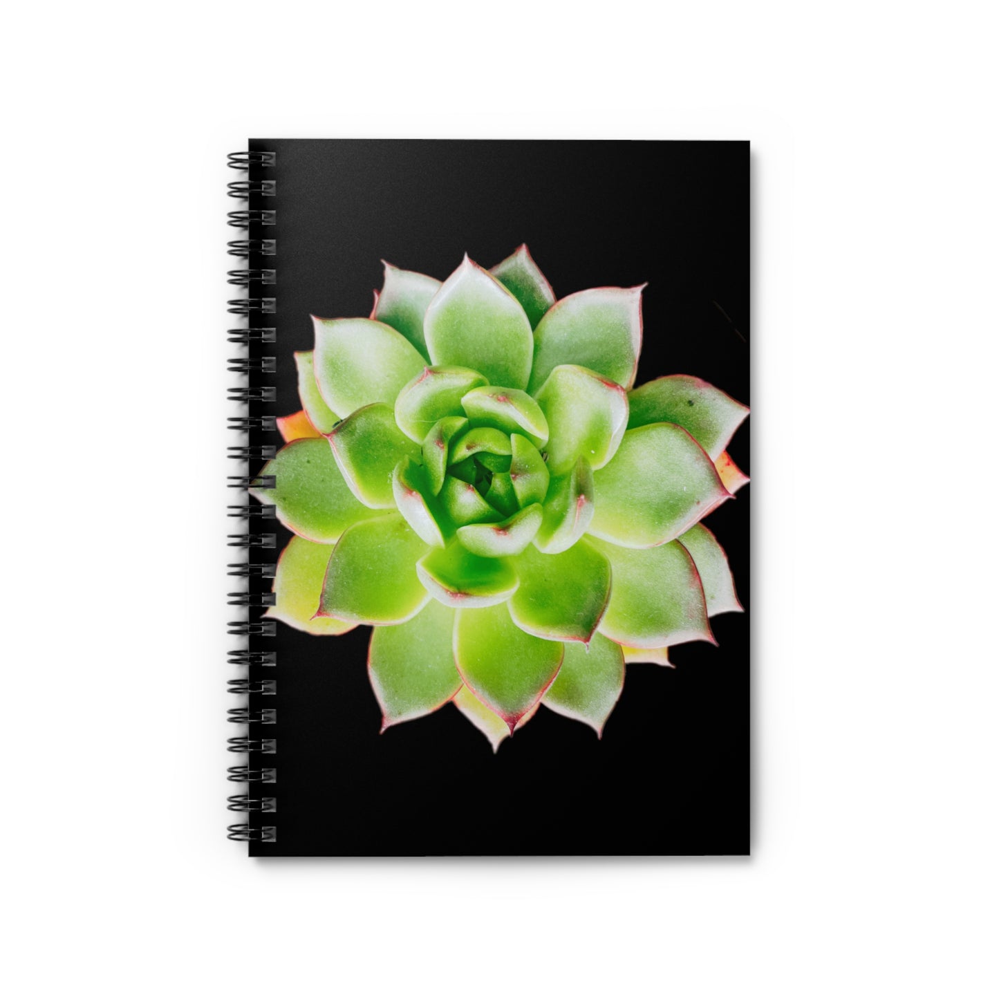 Echeveria Spiral Notebook