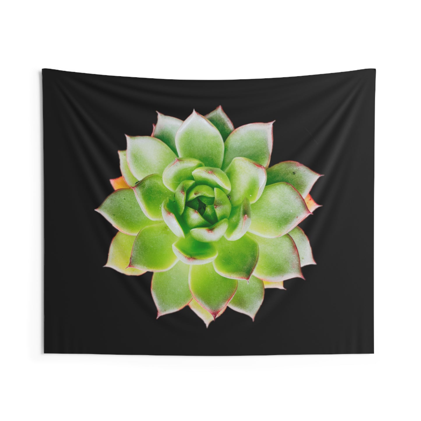 Echeveria Indoor Wall Tapestries