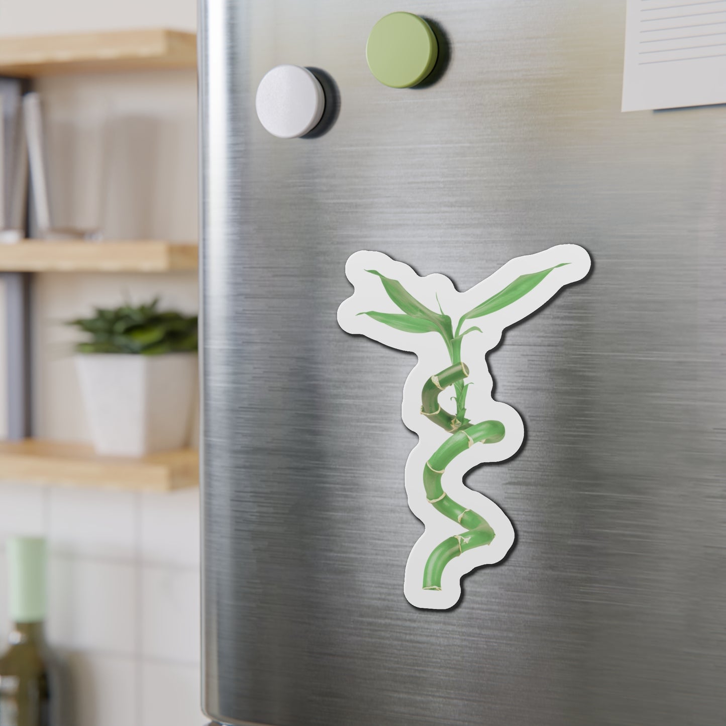 Bamboo Magnets