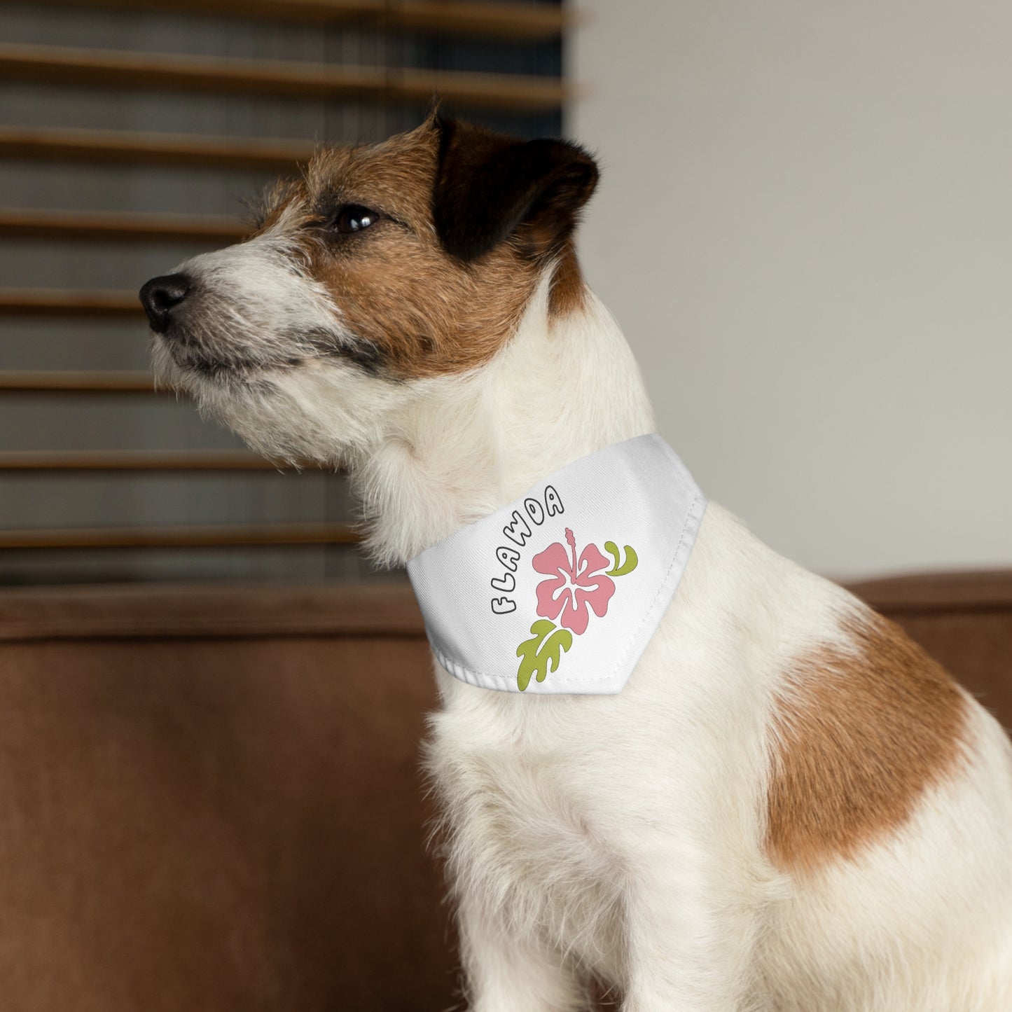 Flawda Pet Bandana Collar