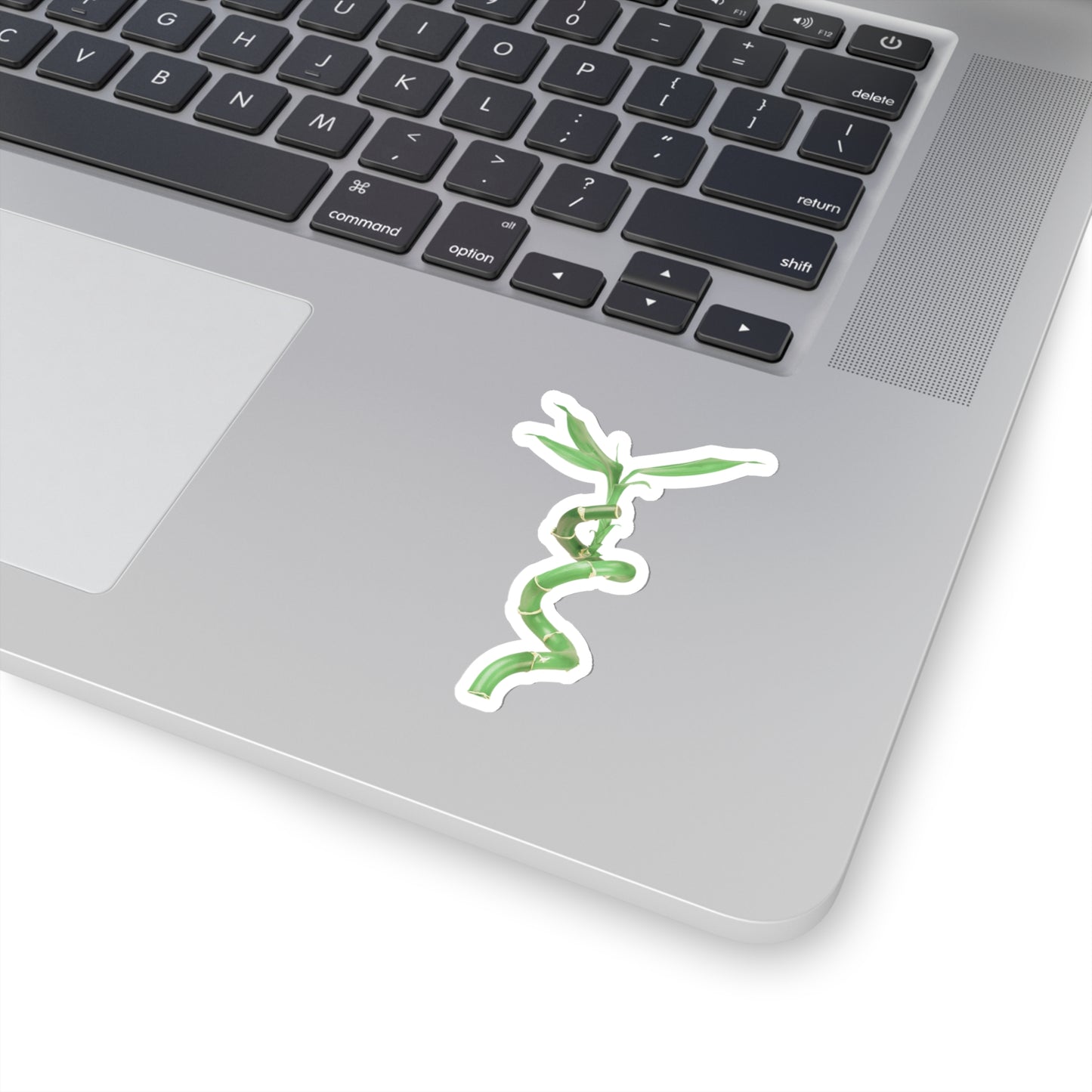 Bamboo Stickers