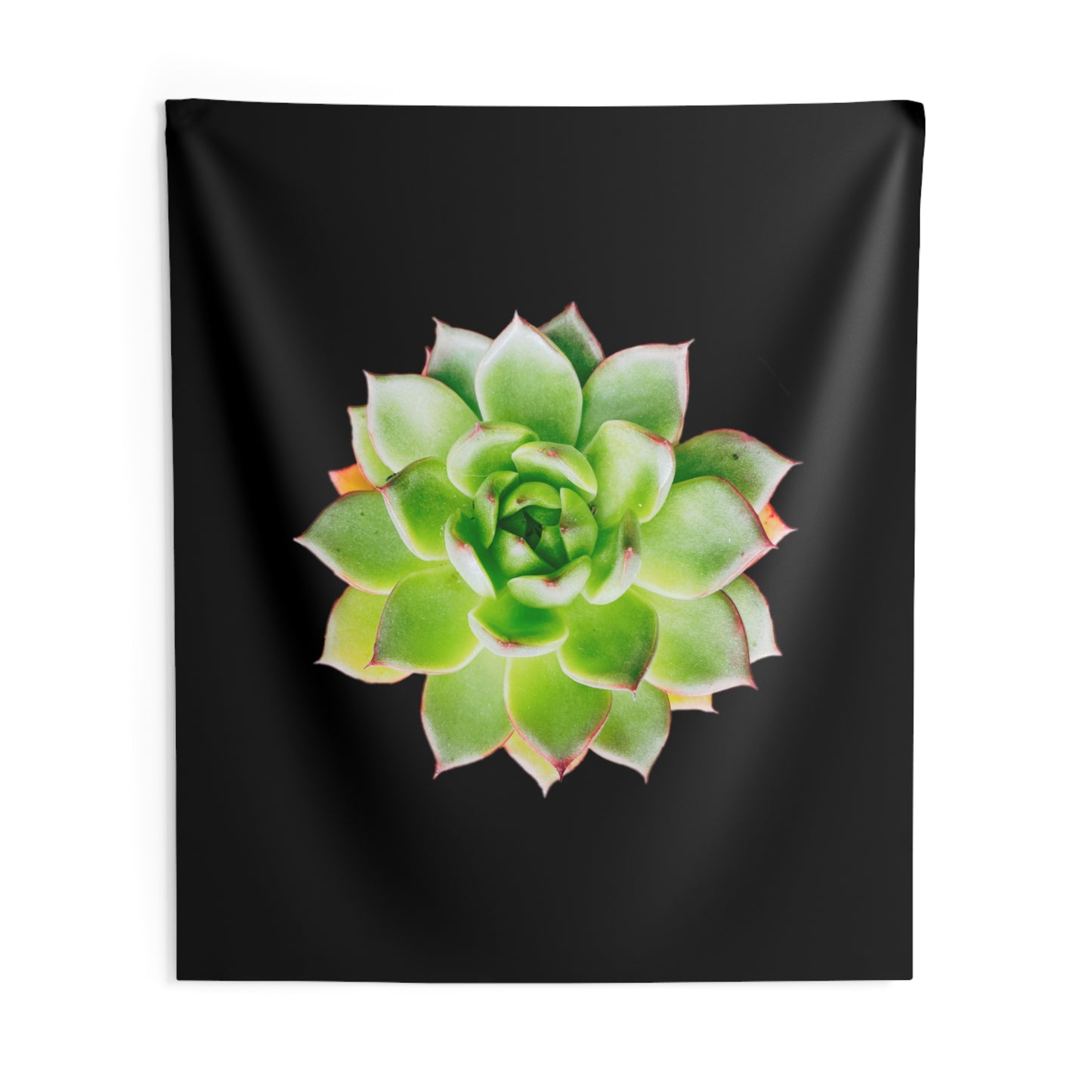 Echeveria Indoor Wall Tapestries
