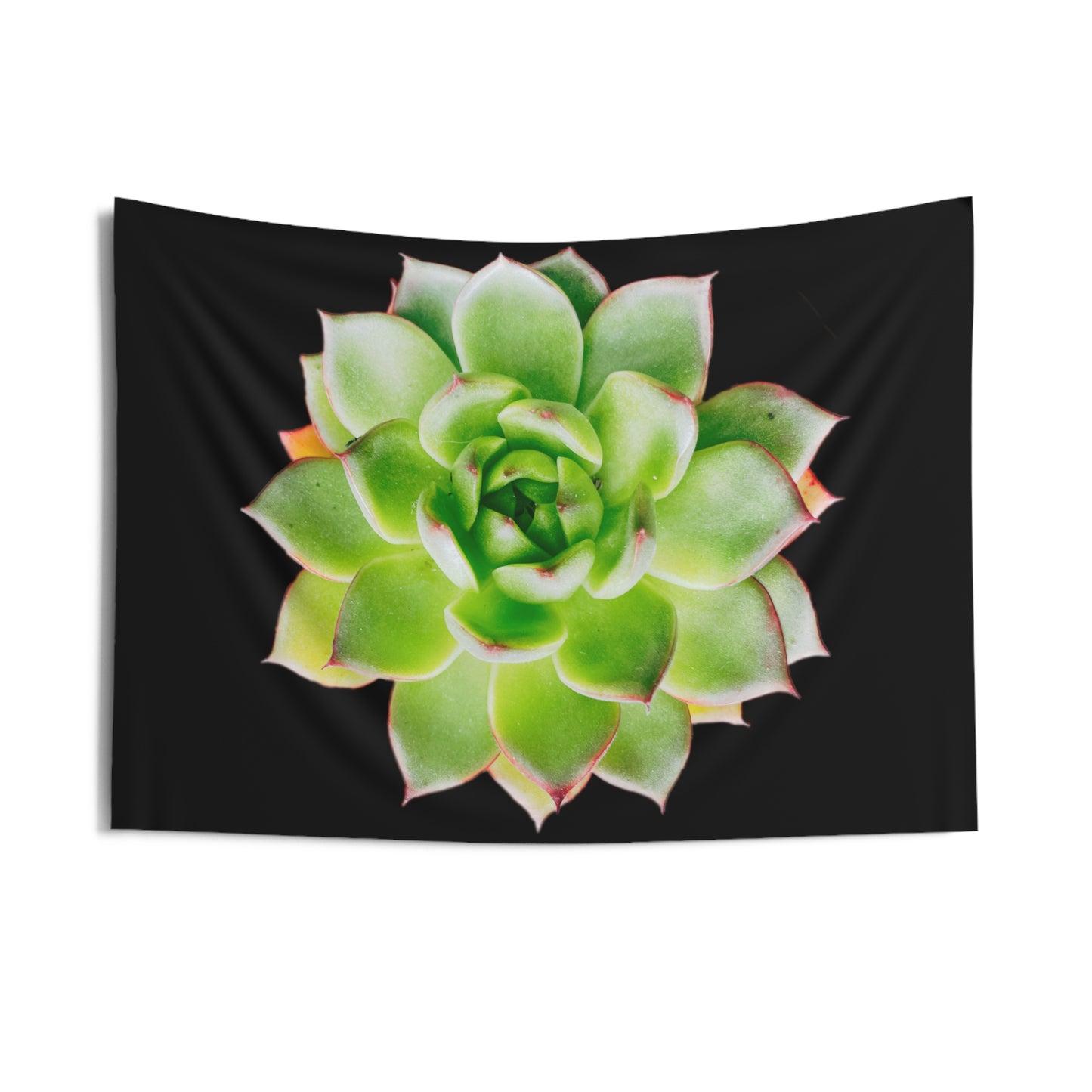 Echeveria Indoor Wall Tapestries