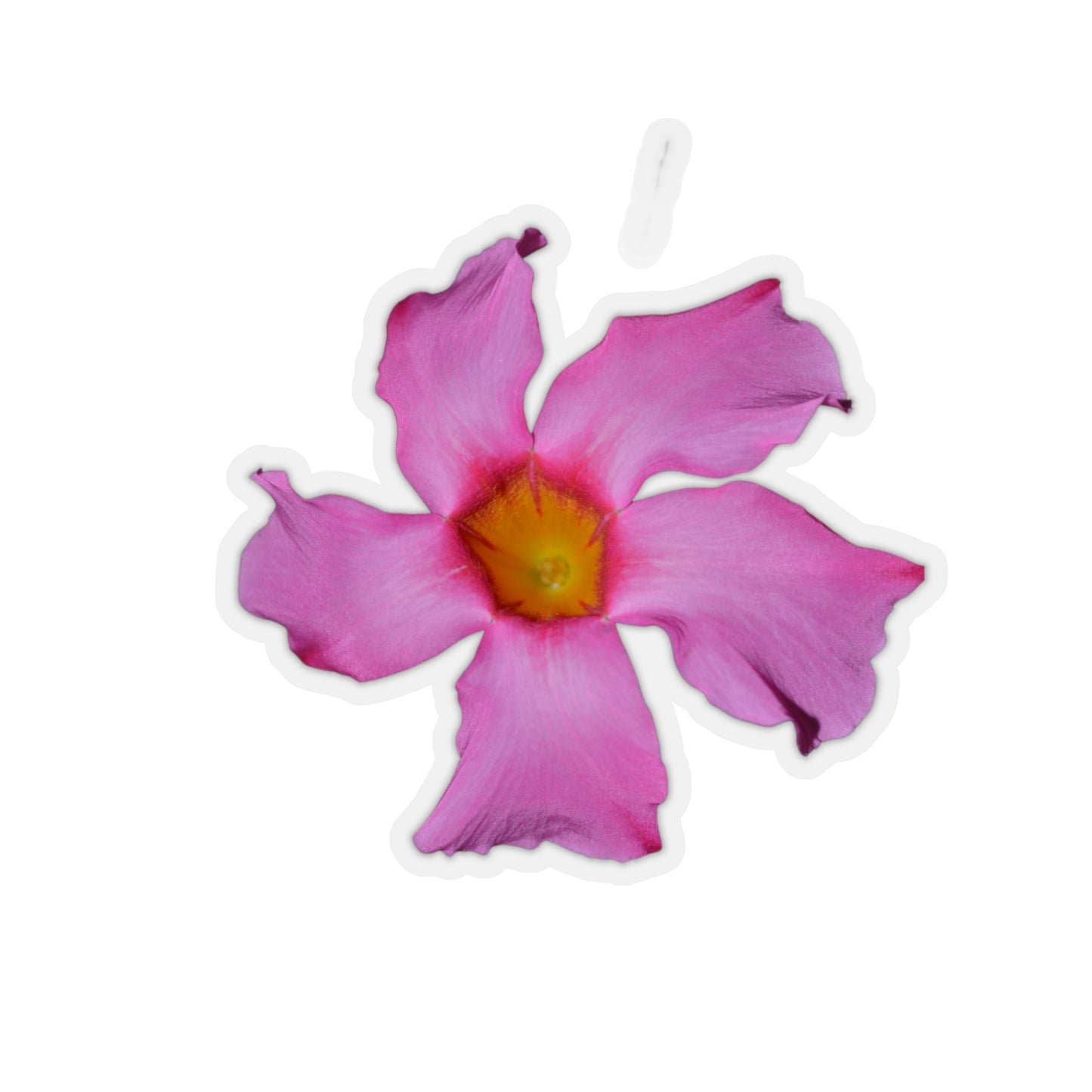 Mandevilla Stickers