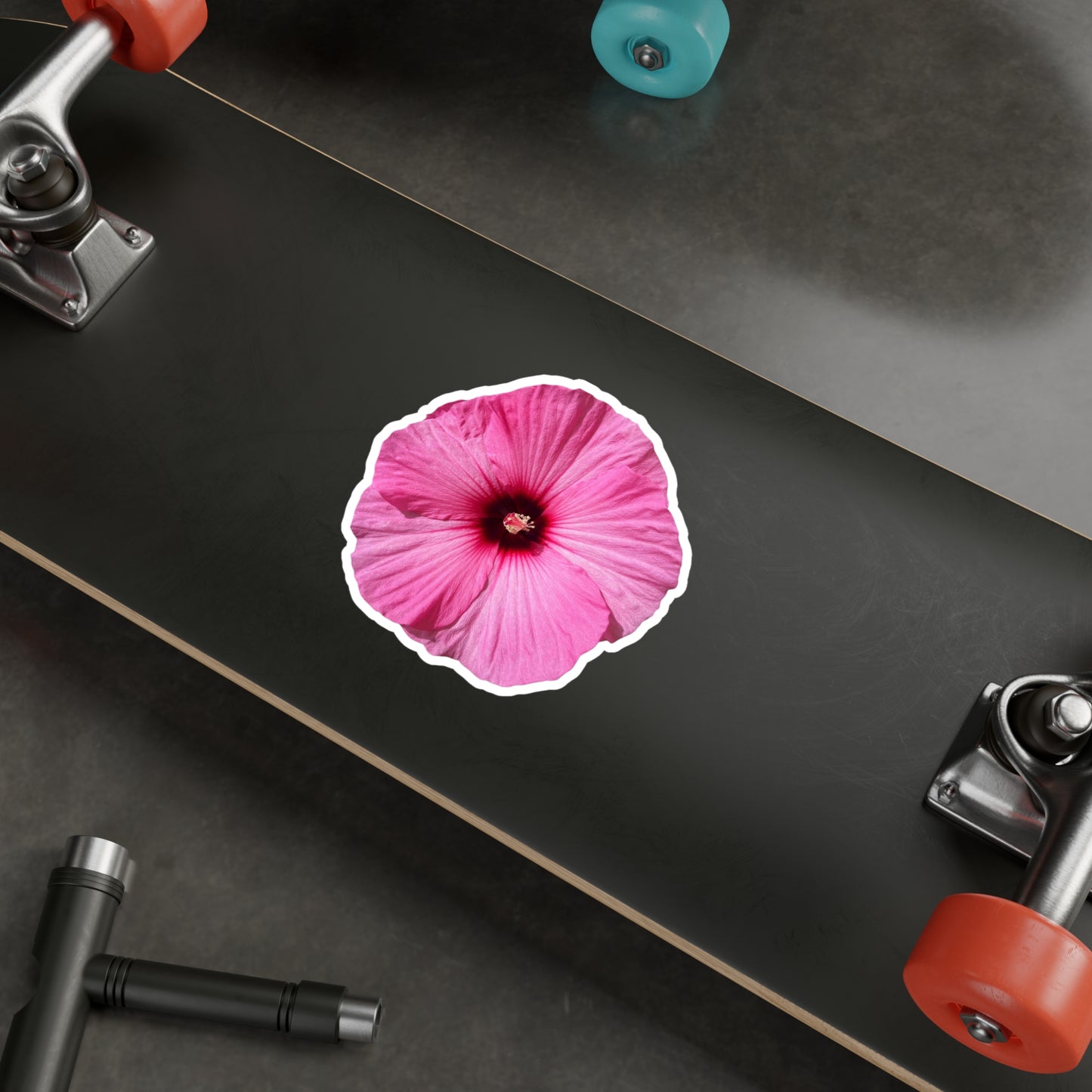 Hibisucs Vinyl Decals