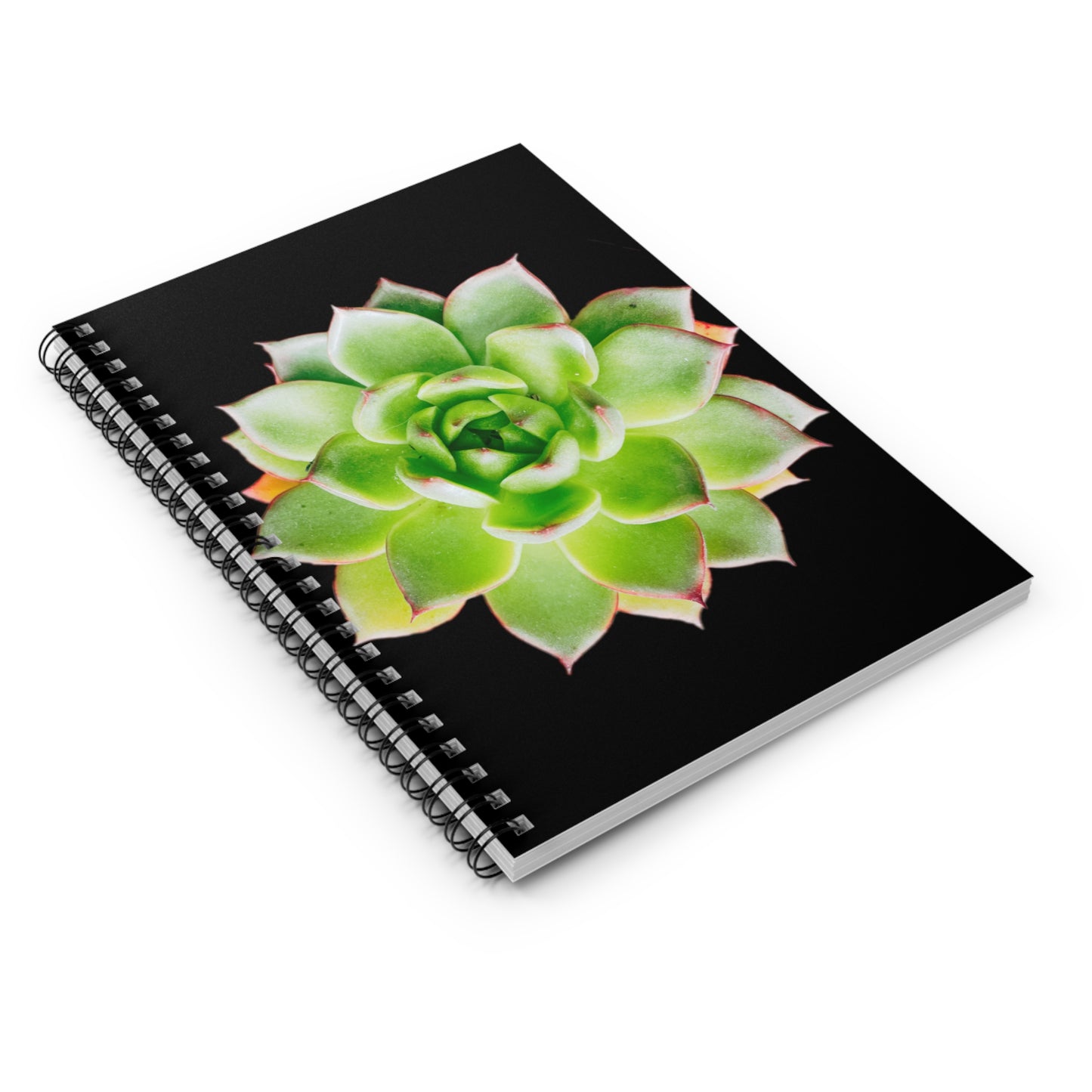 Echeveria Spiral Notebook