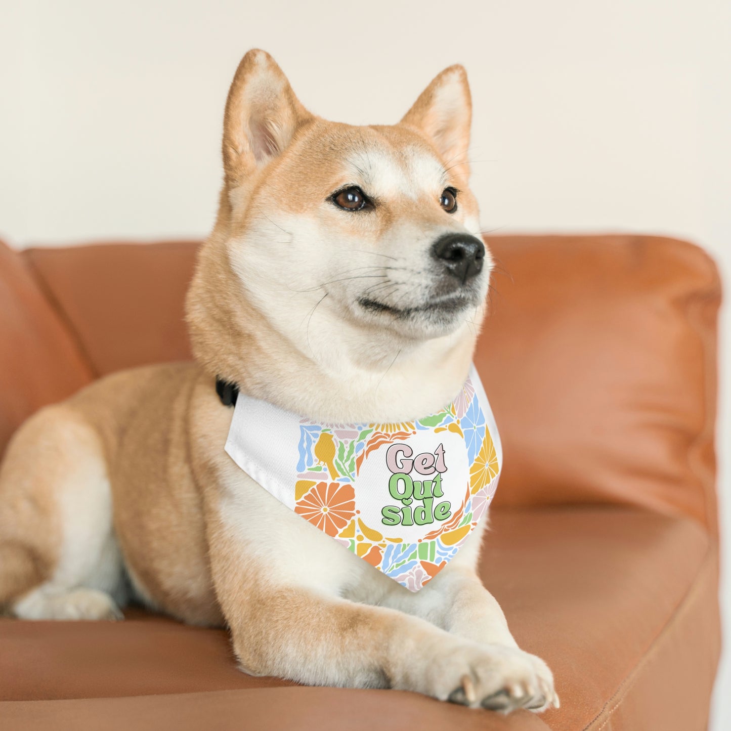 Get Outside Pet Bandana Collar