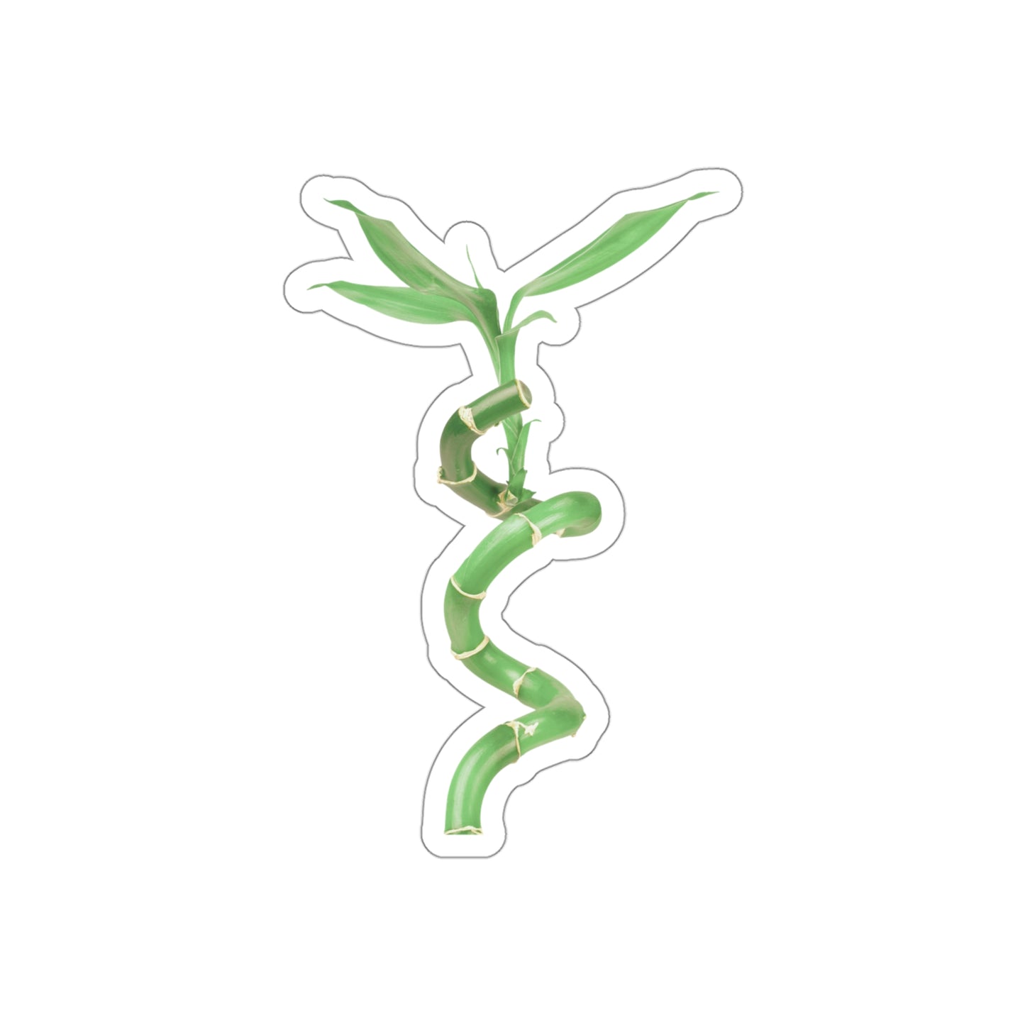Bamboo Stickers