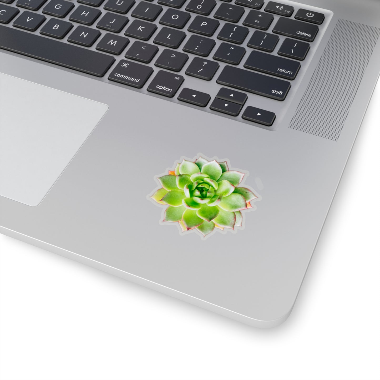 Echeveria Stickers