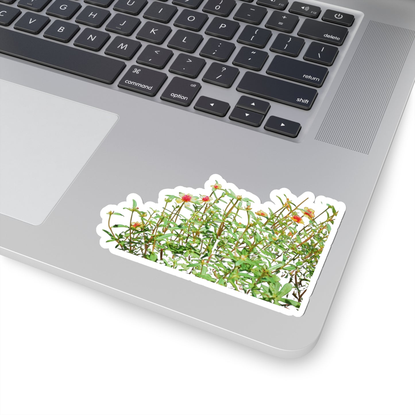 Purslane Stickers