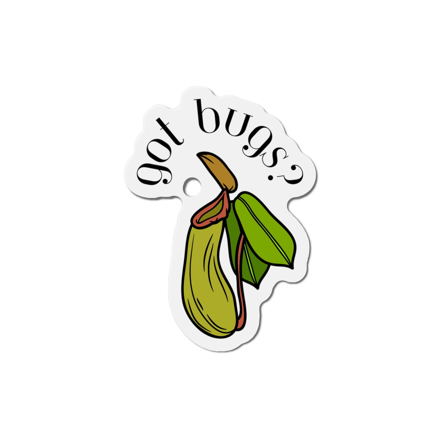 Got Bugs? Magnets