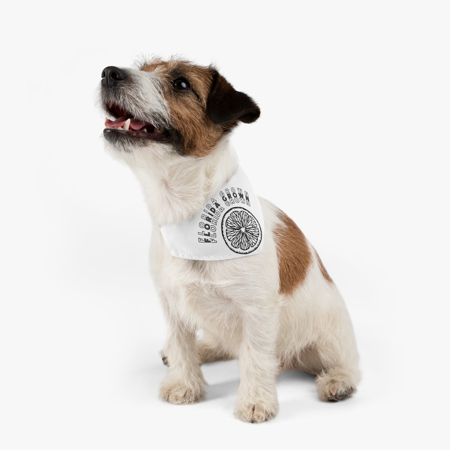 Florida Grown Pet Bandana Collar