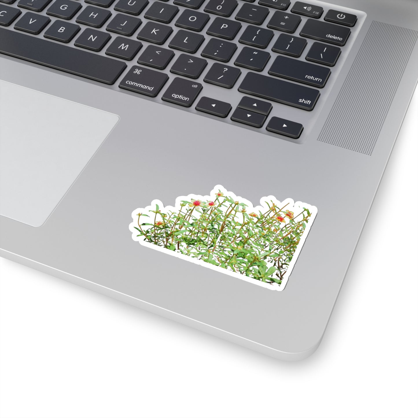 Purslane Stickers
