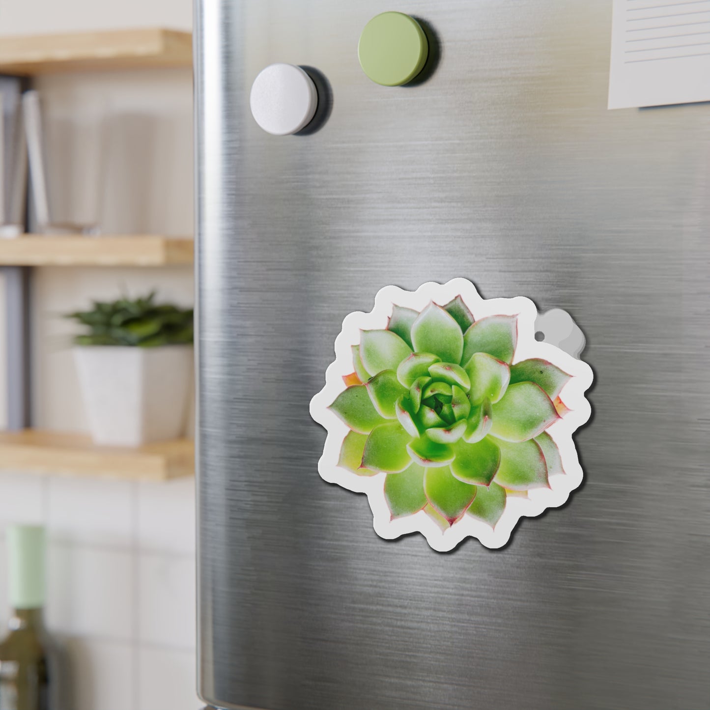 Echeveria Magnets