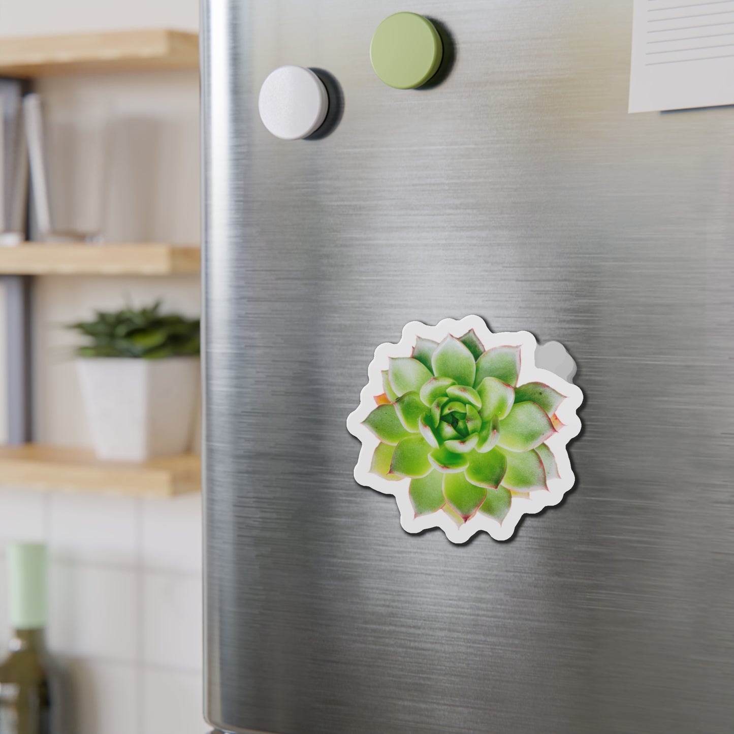 Echeveria Magnets