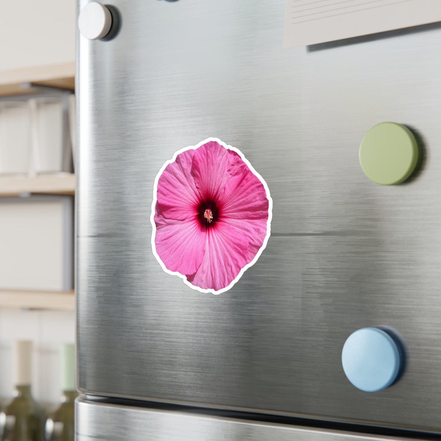 Hibisucs Vinyl Decals