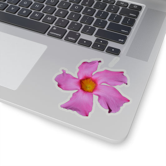 Mandevilla Stickers
