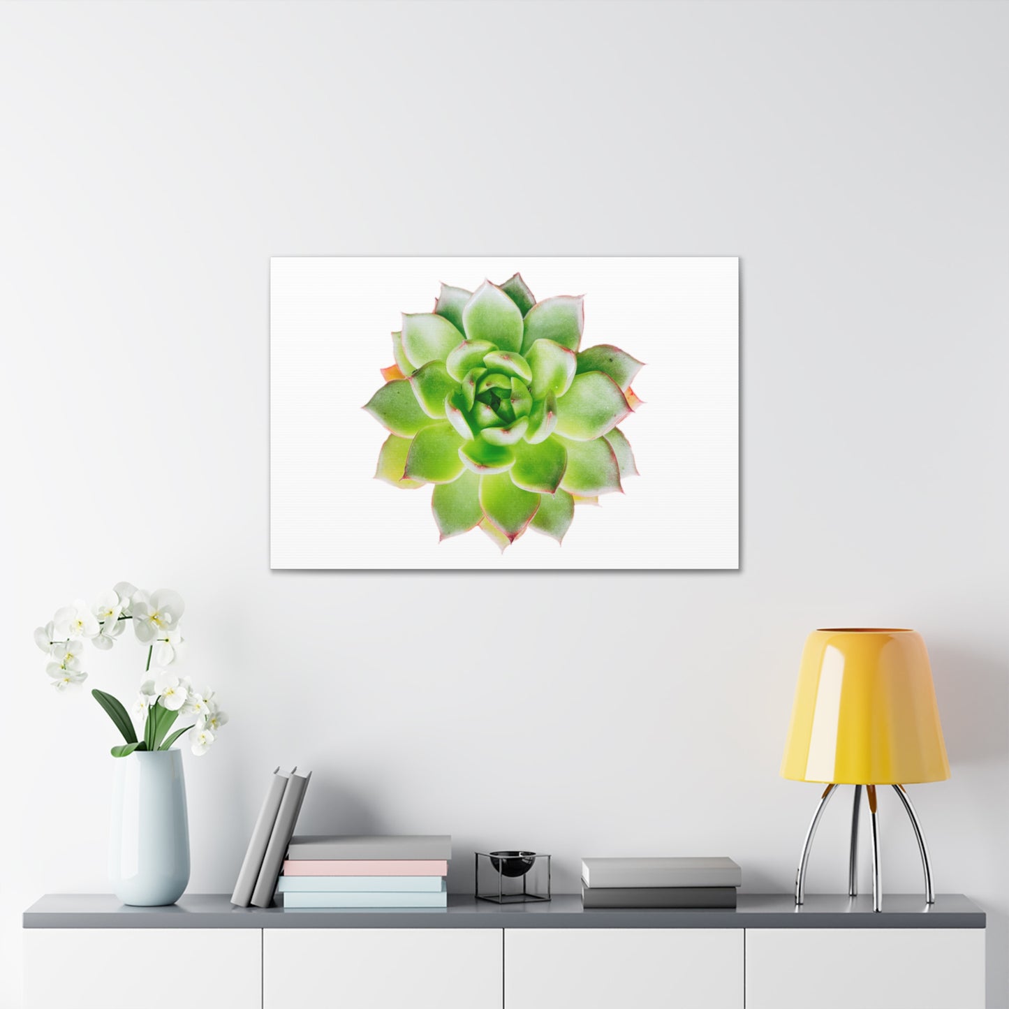 Echeveria Canvas Gallery Wraps